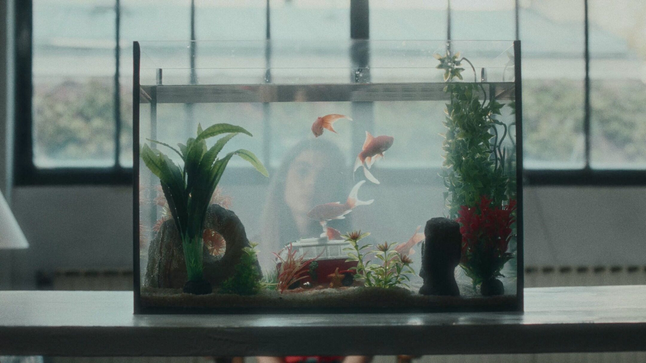 Aquarium